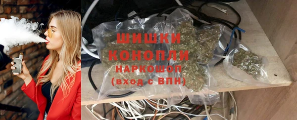 гидропоника Богданович