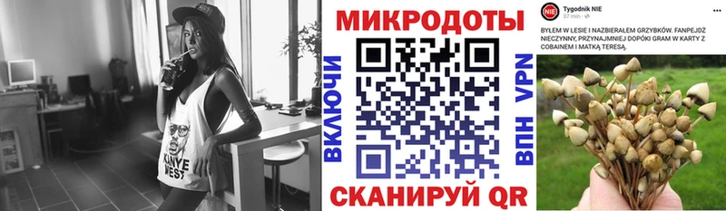 Галлюциногенные грибы прущие грибы Данков